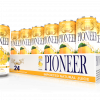 Pioneer Juices – Mango 24 Pack 3D