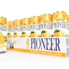Pioneer Juices – Mango 24 Pack Pioneer Juices - Mango 24 Pack