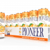 Pioneer Juices – Orange 24 Pack 3D