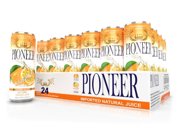 Pioneer Juices – Orange 24 Pack Pioneer Juices - Orange 24 Pack